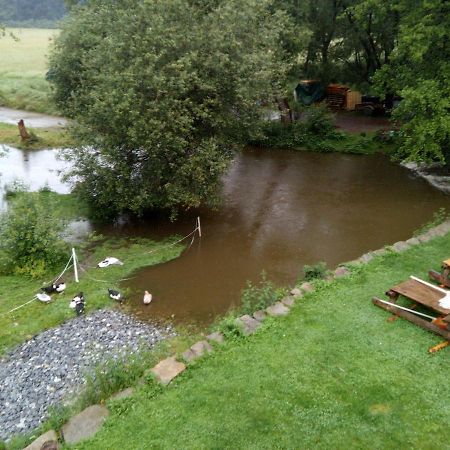Biofarma Dolejsi Mlyn Villa Kamberk Exterior foto