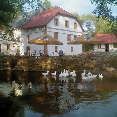 Biofarma Dolejsi Mlyn Villa Kamberk Exterior foto