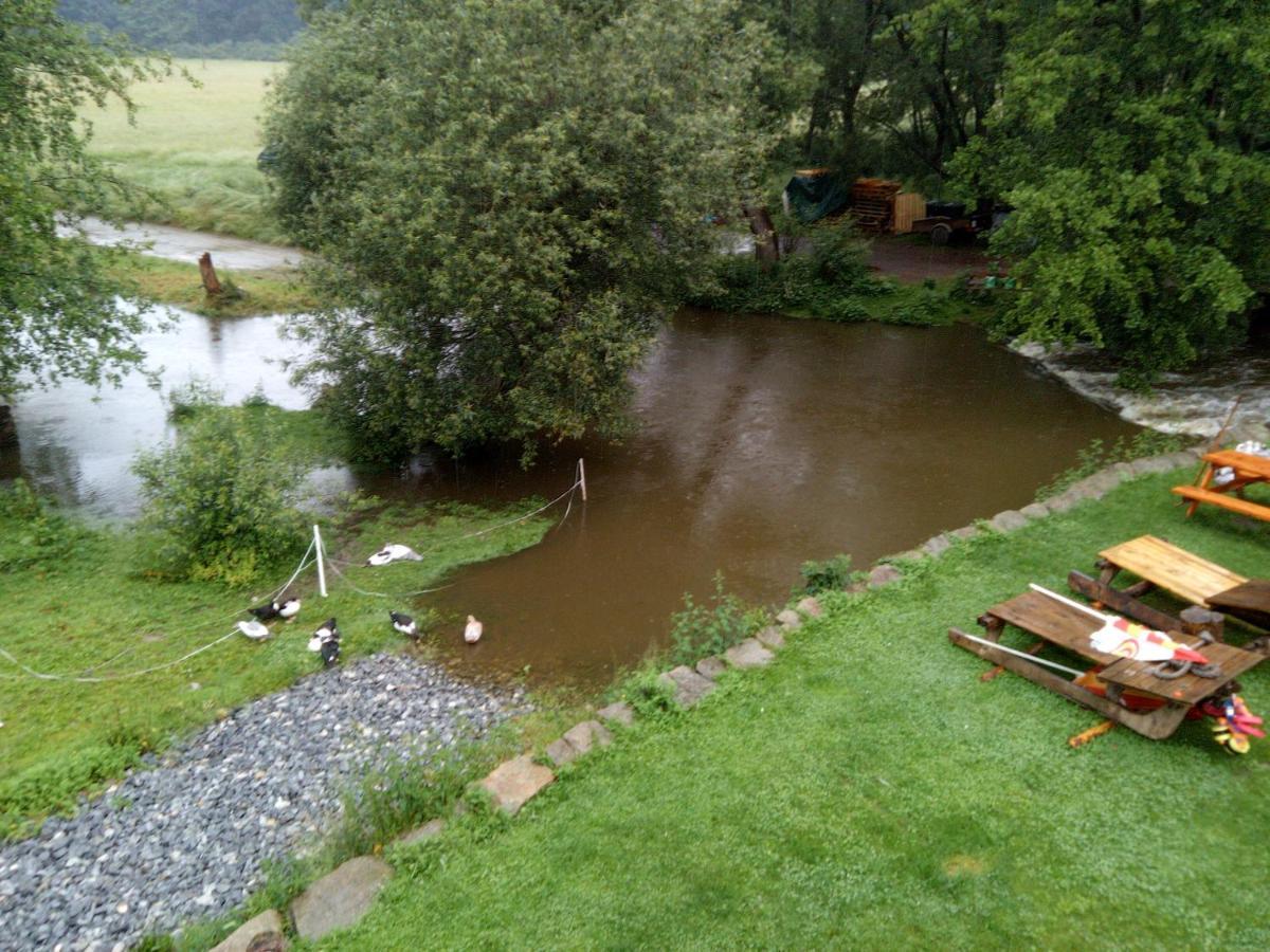 Biofarma Dolejsi Mlyn Villa Kamberk Exterior foto