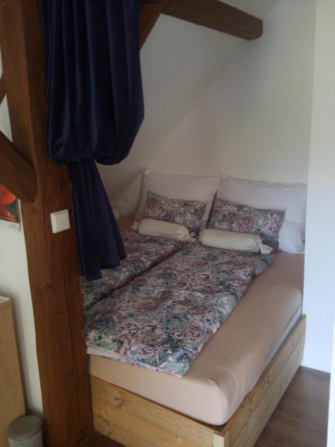 Biofarma Dolejsi Mlyn Villa Kamberk Exterior foto