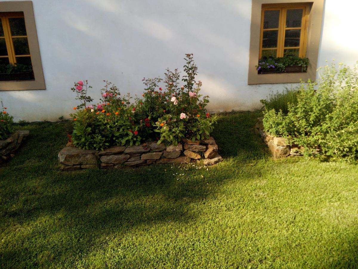 Biofarma Dolejsi Mlyn Villa Kamberk Exterior foto