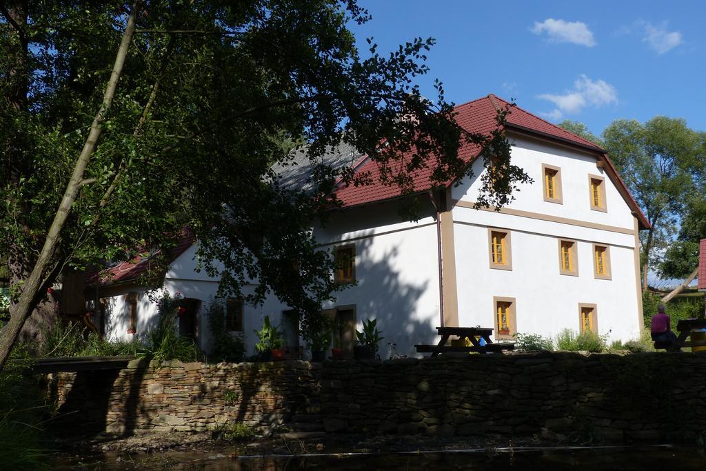 Biofarma Dolejsi Mlyn Villa Kamberk Exterior foto