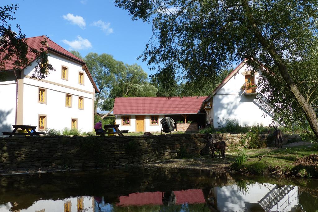 Biofarma Dolejsi Mlyn Villa Kamberk Exterior foto