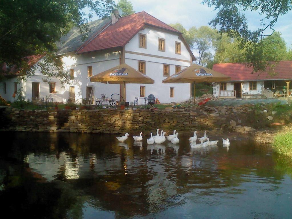 Biofarma Dolejsi Mlyn Villa Kamberk Exterior foto