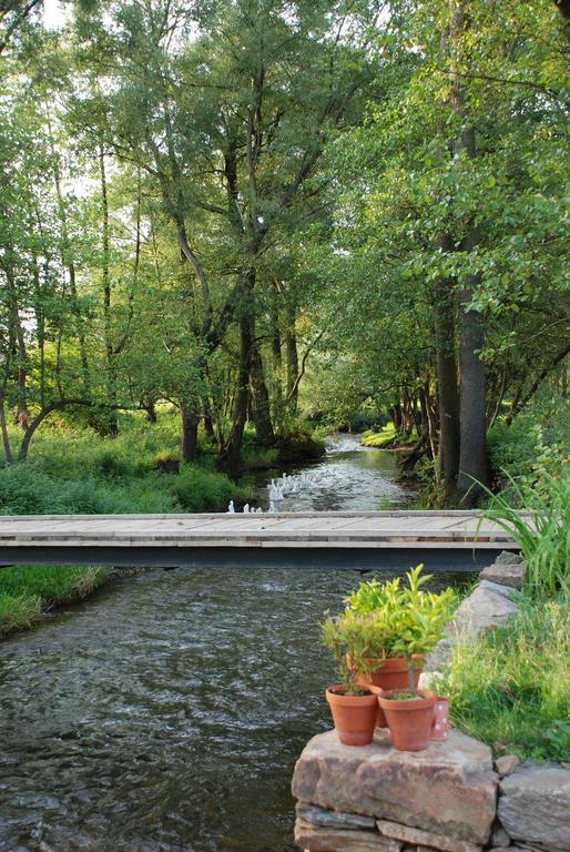 Biofarma Dolejsi Mlyn Villa Kamberk Exterior foto