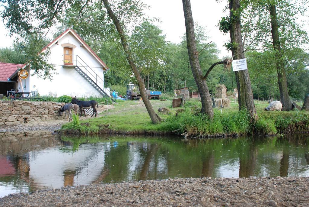 Biofarma Dolejsi Mlyn Villa Kamberk Exterior foto