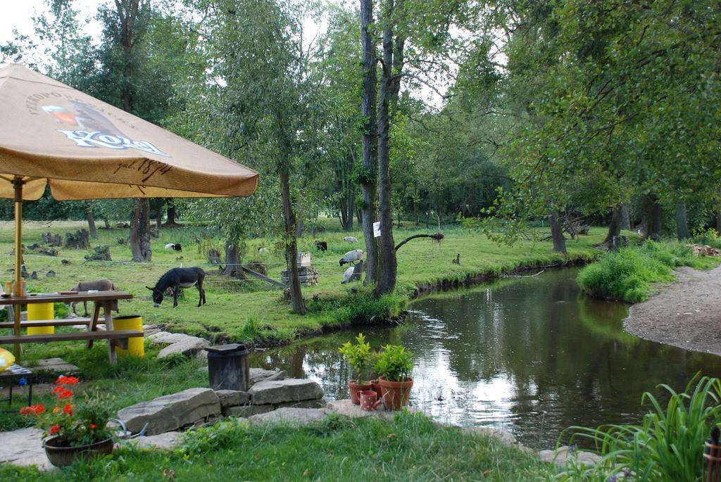 Biofarma Dolejsi Mlyn Villa Kamberk Exterior foto