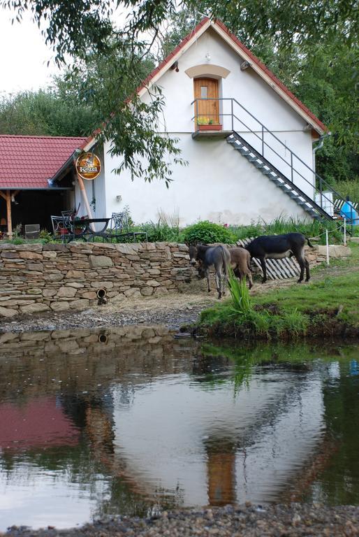 Biofarma Dolejsi Mlyn Villa Kamberk Exterior foto