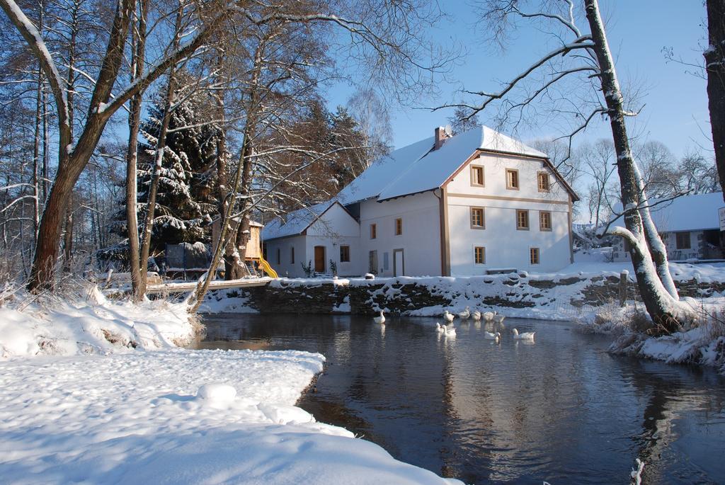 Biofarma Dolejsi Mlyn Villa Kamberk Exterior foto