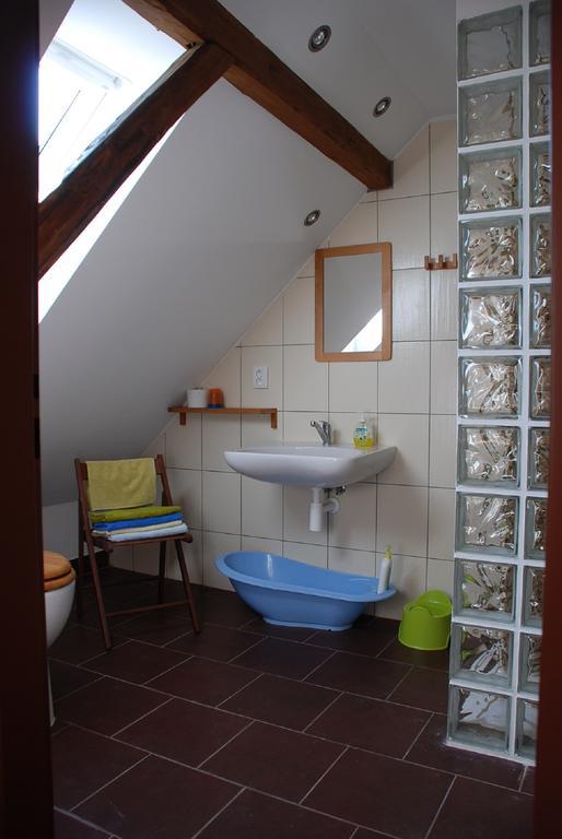 Biofarma Dolejsi Mlyn Villa Kamberk Cameră foto