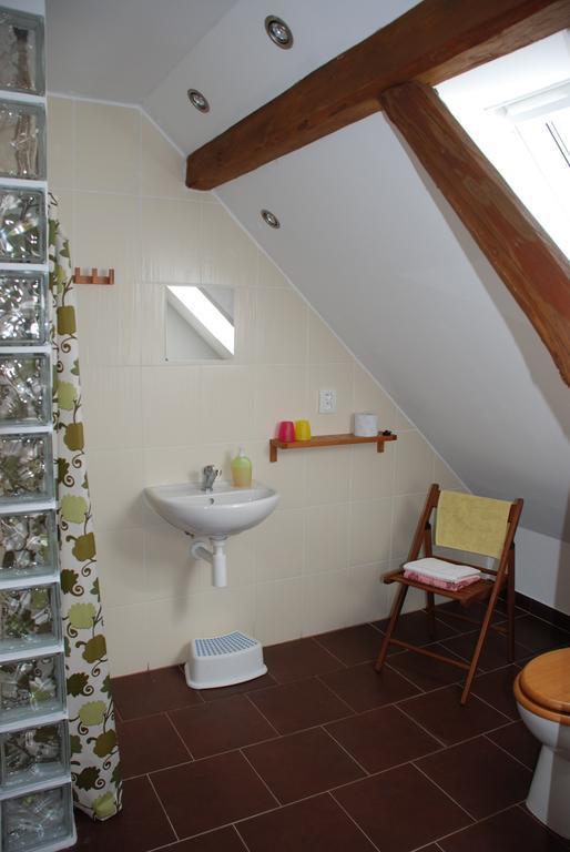 Biofarma Dolejsi Mlyn Villa Kamberk Cameră foto